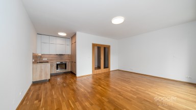 Pronájem krásného bytu 2+kk/B/S/PS, 75 m2, Praha 6 - Vokovice, Tibetská