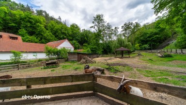 Prodej stavebního pozemku 800 m², obec Oparno, okres Litoměřice.