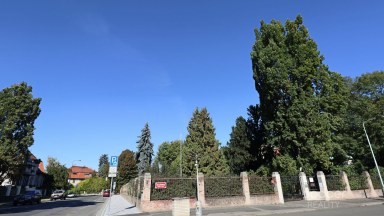 Pronájem reprezentativní kanceláře, 27m2, Praha 6 - Bubeneč, Na Zátorce