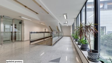 Pronájem kanceláře 20,85 m2 ulice Sokolovská