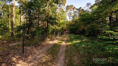 Prodej stavebního pozemku 1 300 m² se srubem, Stará Boleslav – Vestecká.